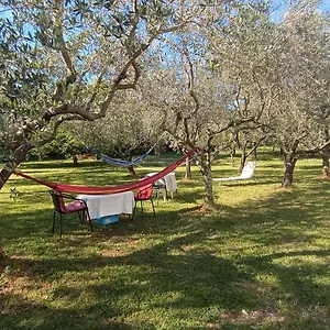 Gabriela Apartament